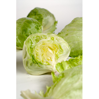 Salat Eisbergsalat ca.200g