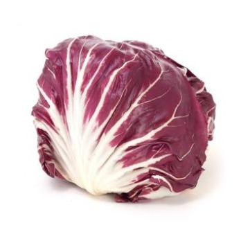 Salat, Radicchio