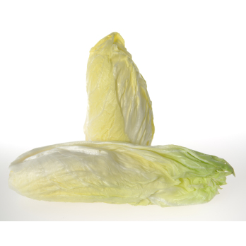 Salat, Zuckerhut ca. 800g/St.