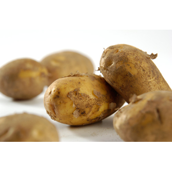 Frühkartoffeln 1kg, festkochend