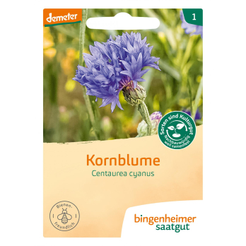 Saatgut  Kornblume blau