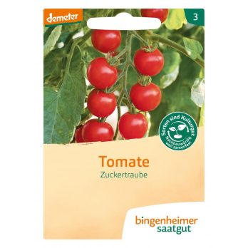 Saatgut  Cocktailtomate Zuckertraube