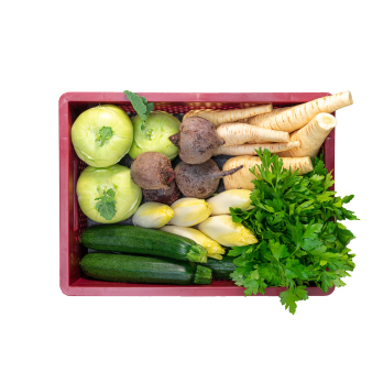 Rohkost Gemüsekiste 11-12 €