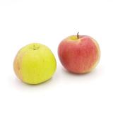 Äpfel Santana süß-sauer  mit wenig Säure; Allergiker Apfel