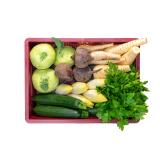 Rohkost Gemüsekiste 14-16€