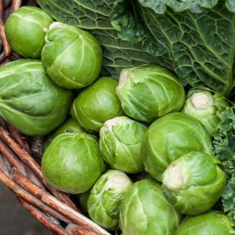 Gebackener Rosenkohl mit Parmesan und Honig