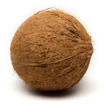 Kokosnuss ca.400g