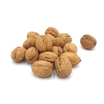 Walnüsse