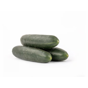 Gurken, Landgurken, die Robusten