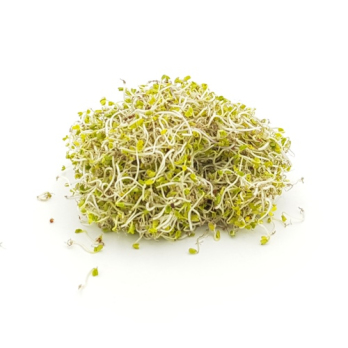 Sprossen, Broccolisprossen samenfest 70g