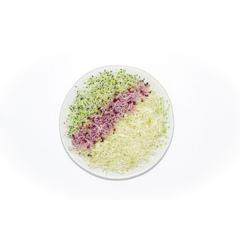 Sprossen Mix