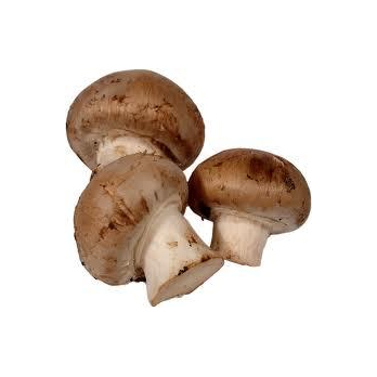 Steinchampignons