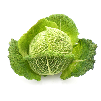 Wirsing , ca. 1-1,4 kg