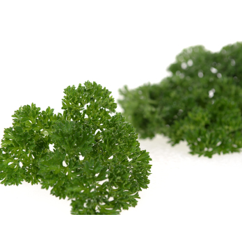 Kräuter, Petersilie kraus im Bund , ca. 50g
