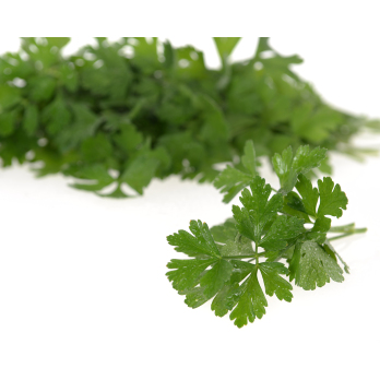 Kräuter, Petersilie glatt im Bund , ca. 50g