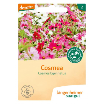 Saatgut  Cosmea Blumen