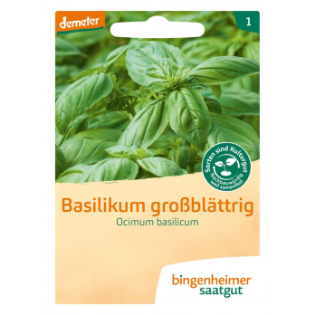 Saatgut  Basilikum großblättrig