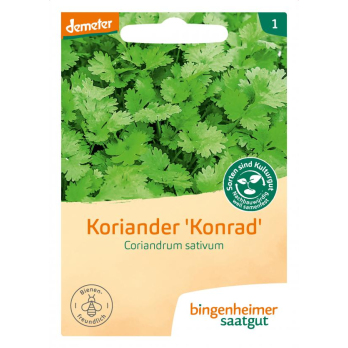 Saatgut  Koriander