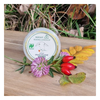 Schaffrischkäse Kräuter in Öl 50% 150g, regional