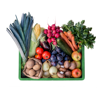 Regionale Obst-und Gemüsekiste 25€